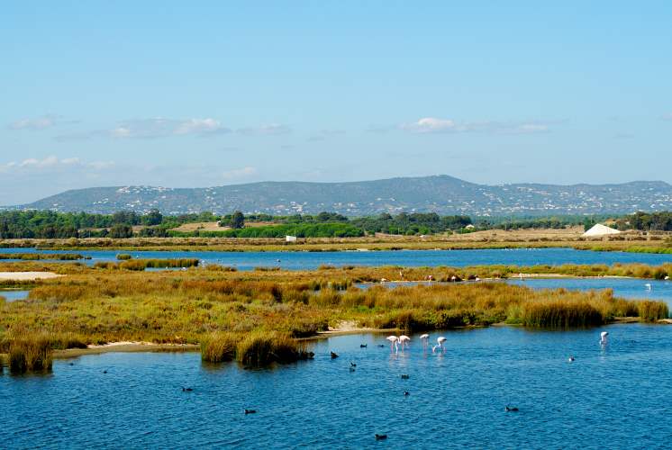 Parque Natural da Ria Formosa